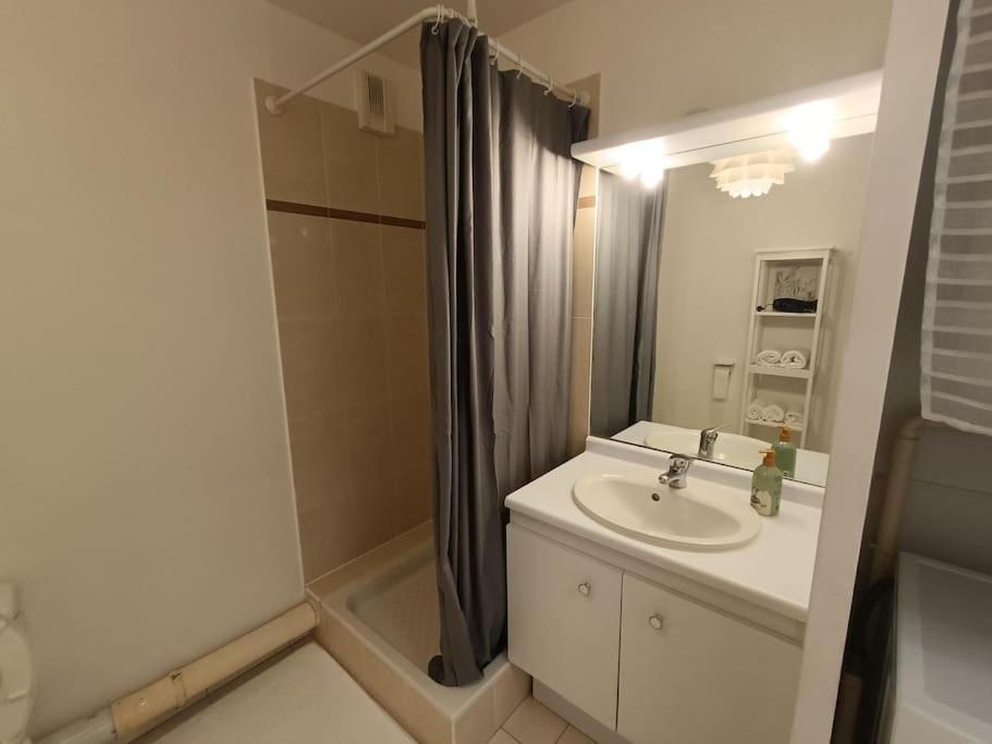 Horizon Parc 5 Personnes Pk Prive Gratuit Balcon Lit Bebe Apartment